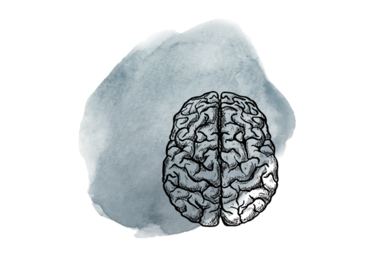 Neuro-Kurse